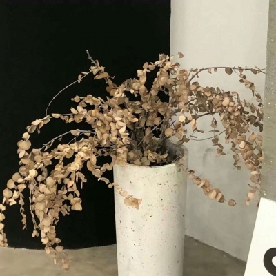 天峻FurryQQ群介绍